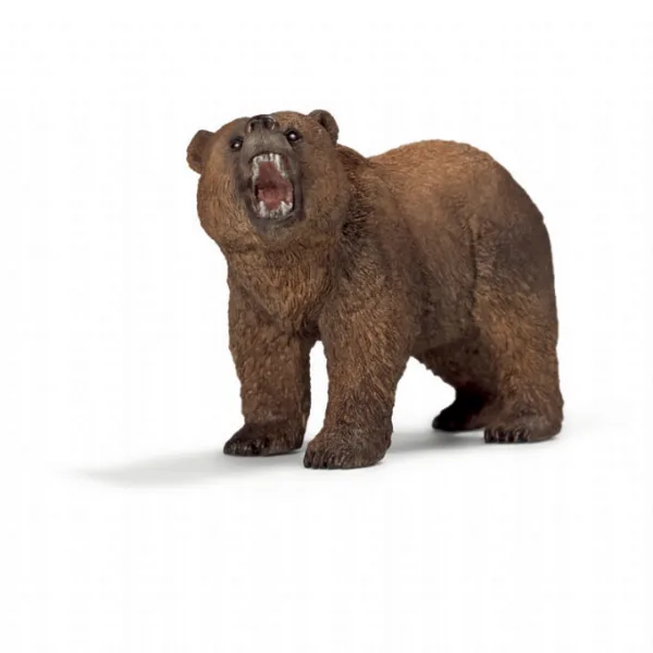 Grizzly bjørn