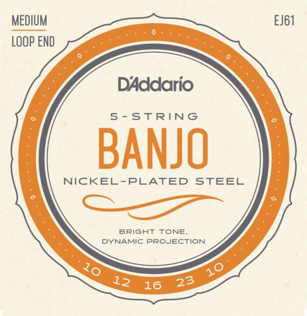 D'Addario EJ61