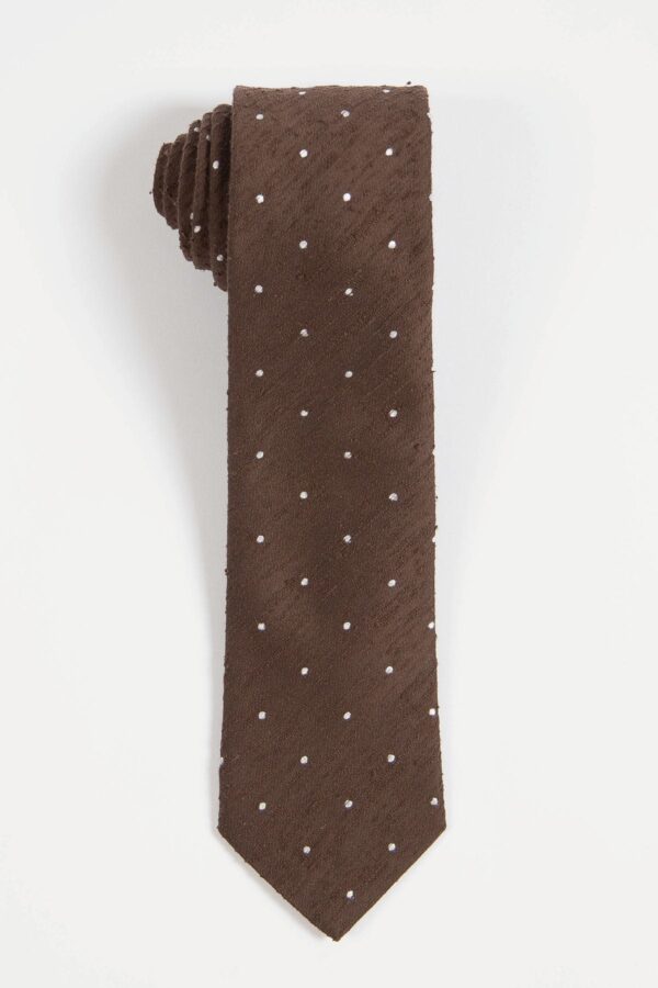 Shantung Brown White Dot Silk Tie