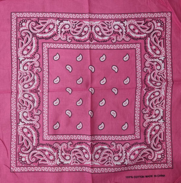 Fuchsia bandana BA-Fuchsia