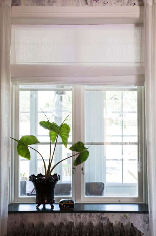 Sunday Roman Blind White