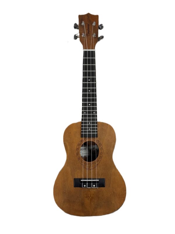 Tanglewood Tiare TWT 3