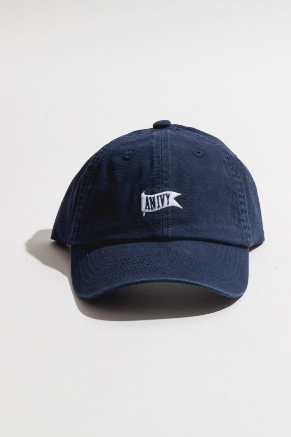 Navy AN IVY Flag Cap