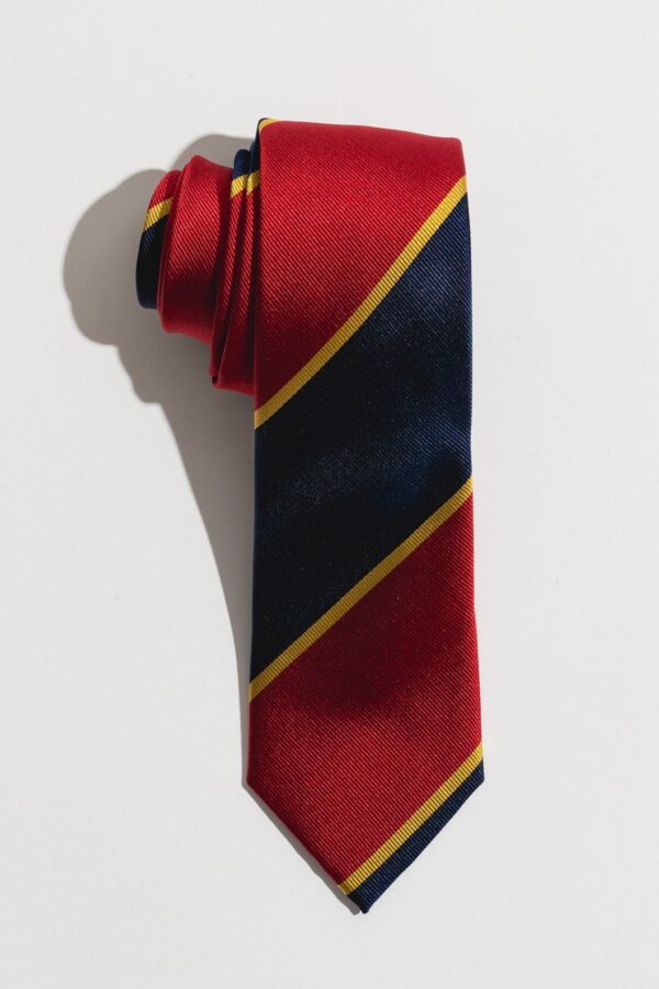 Red Navy Golden College Silk Tie