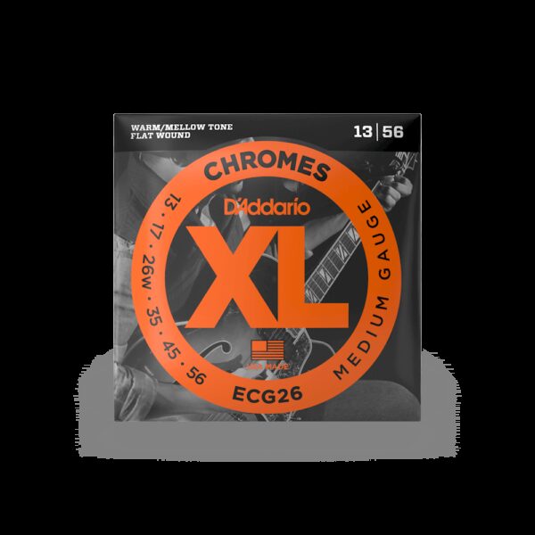 D'Addario ECG26