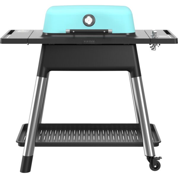 Everdure Gasgrill E2G2M Force, mat mint