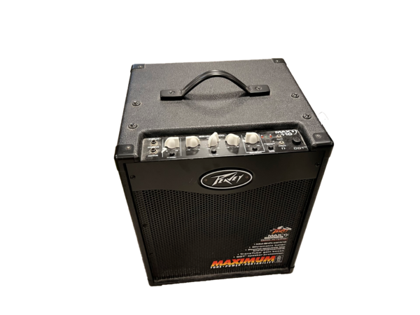 (BRUGT) Peavey Max 110