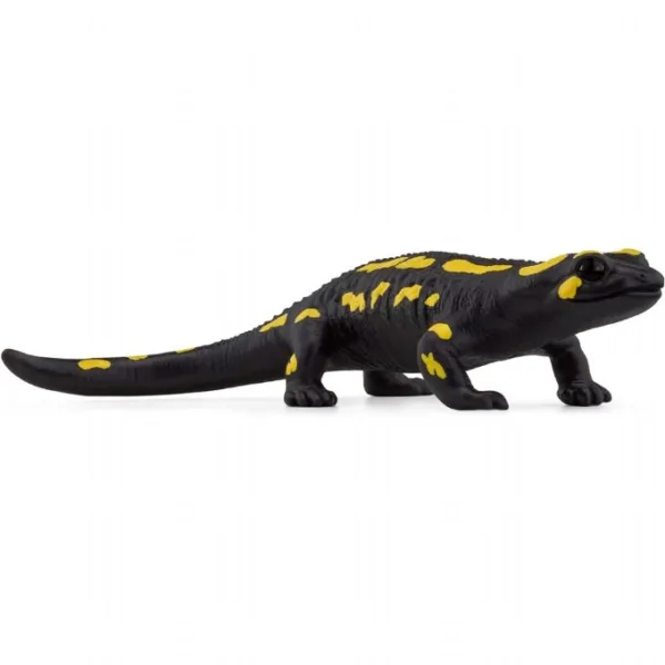 Ildsalamander