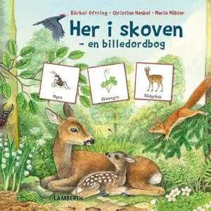 Her i skoven Billedbøger