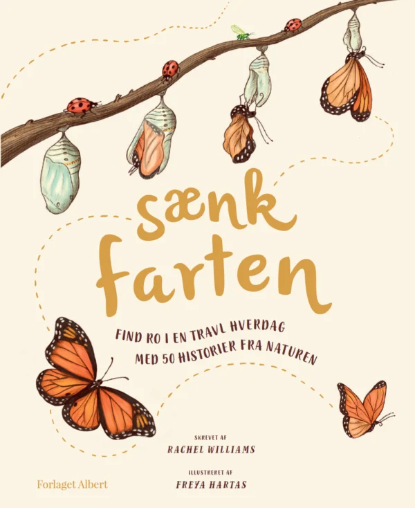 Sænk farten Børnefagbog